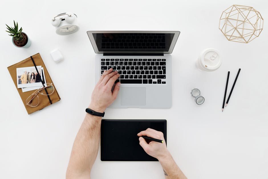 SEO для контентных и коммерческих сайтов